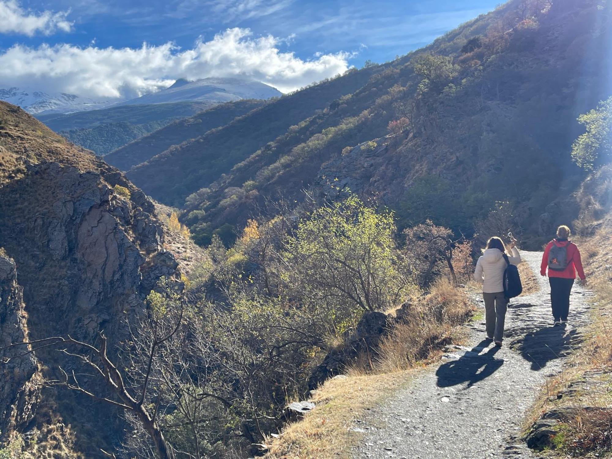 La Casa Del Ciervo Sierra Nevada Leilighet Guejar Sierra Eksteriør bilde